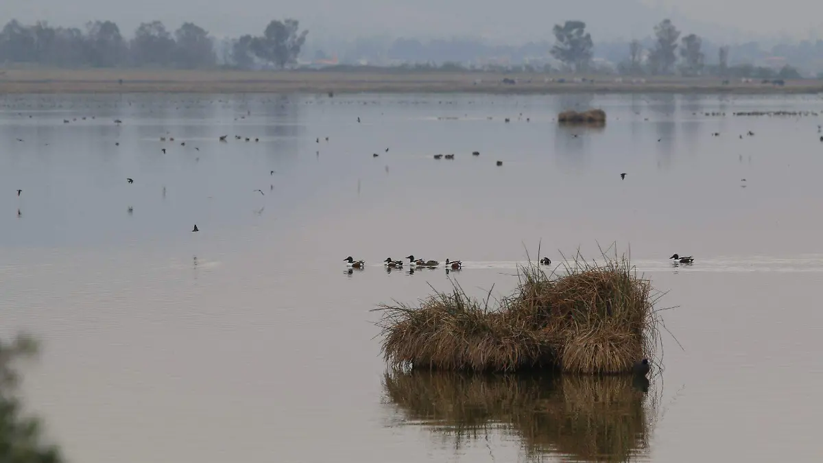 546748_Dia Mundial del Agua-Laguna de Tlahuac-1_web